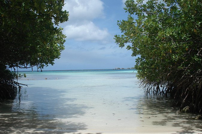 Aruba Mangel Halto and Baby Beach Snorkeling Guided Tour - What to bring so you don’t waste time at the beach