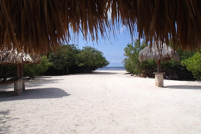 Aruba Mangel Halto and Baby Beach Snorkeling Guided Tour - Price and logistics: who this tour fits best