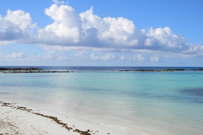 Aruba Mangel Halto and Baby Beach Snorkeling Guided Tour - Pickup, timing, and the open-air bus reality