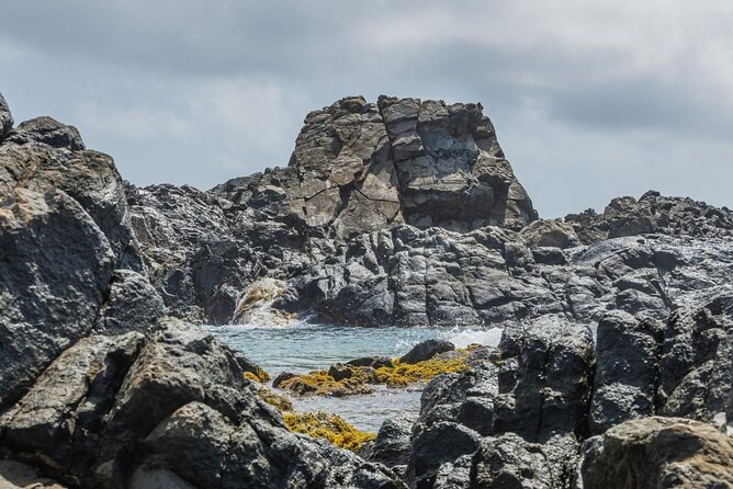 Aruba National Park Tour with Natural Pool & Baby Beach Snorkel - Price and What You Actually Get for $95