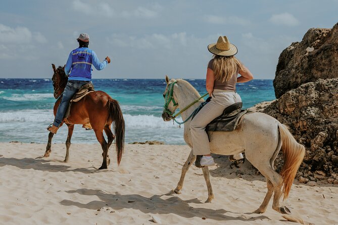 Aruba North Coastline: Small-Group Horseback Riding Tour - Matividiri and Riding Instructions: How They Set You Up