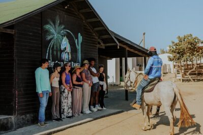 Aruba North Coastline: Small-Group Horseback Riding Tour - What You Actually Get on Horseback: North Coast + Ruins + Beach Time