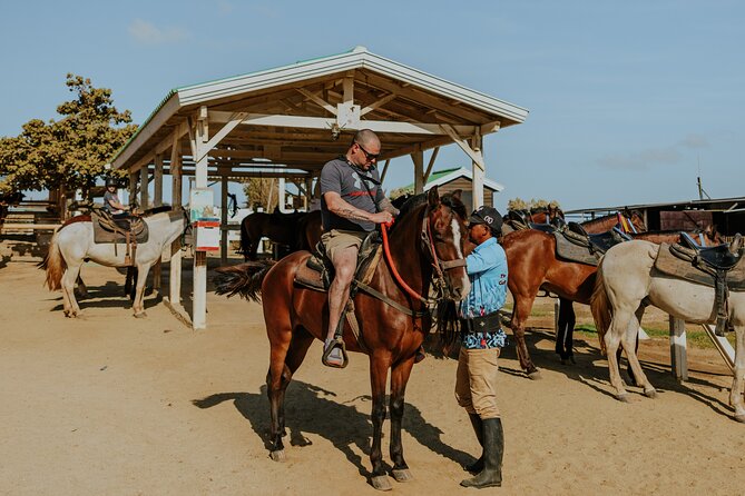 Aruba North Coastline: Small-Group Horseback Riding Tour - Horses and Guides: Small Group Attention (and Calm Animals)