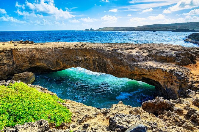 Aruba Northcoast UTV Afternoon Tour - Who should book this north-coast UTV afternoon tour
