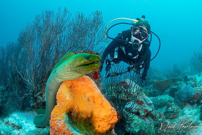 Aruba One or Two Tank Scuba Dive - Aruba’s Piet’s Pier start: where the day actually begins