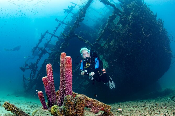 Aruba One or Two Tank Scuba Dive - One tank vs two tanks: picking the schedule that fits