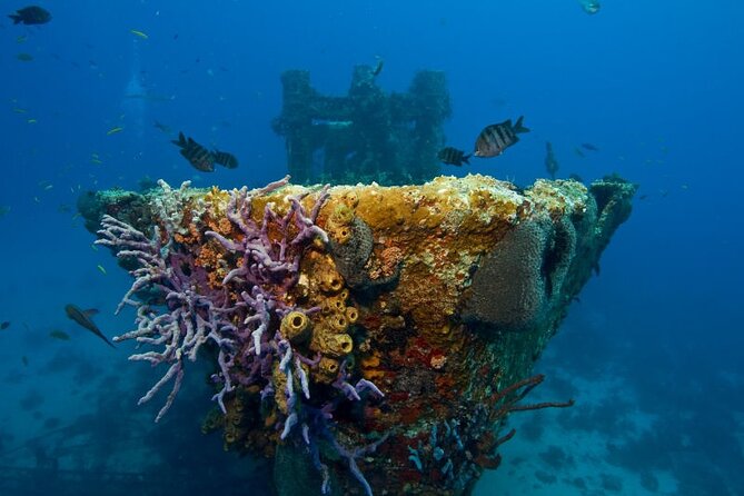 Aruba One or Two Tank Scuba Dive - Equipment, weights, and the safety check that sets the tone