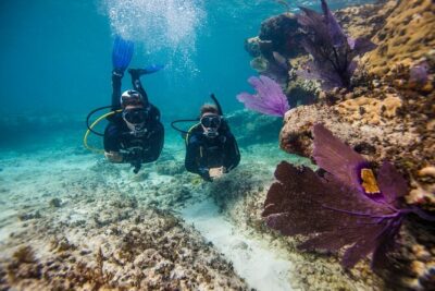 Aruba One or Two Tank Scuba Dive - Boat ride to the offshore reefs: calm water and quick access