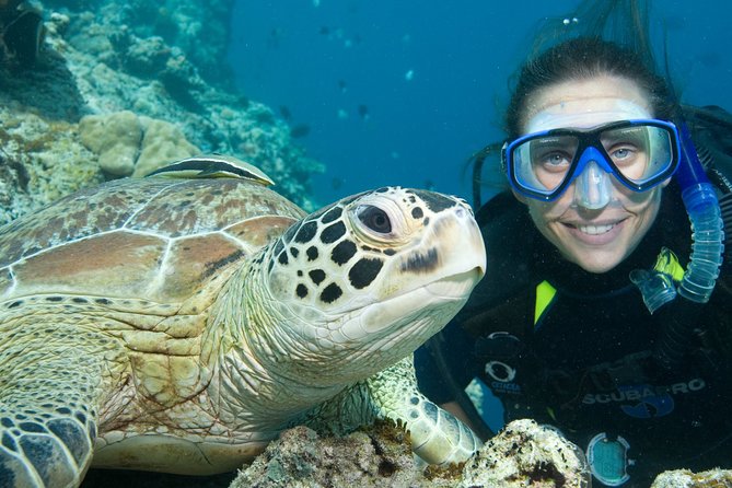 Aruba One or Two Tank Scuba Dive - What the guides do during the day (and why small groups matter)