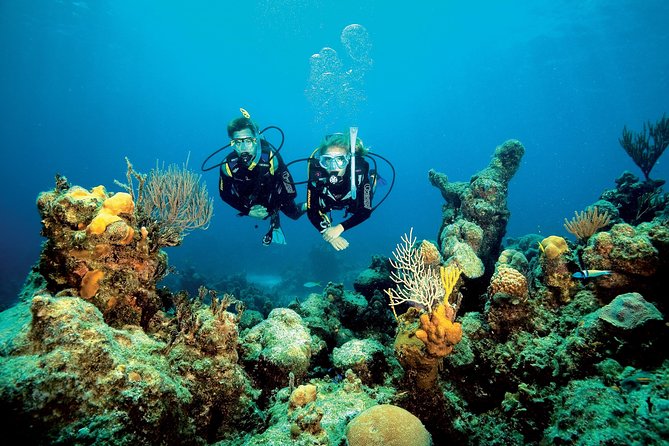 Aruba One or Two Tank Scuba Dive - Should you book Red Sail Sports in Aruba?