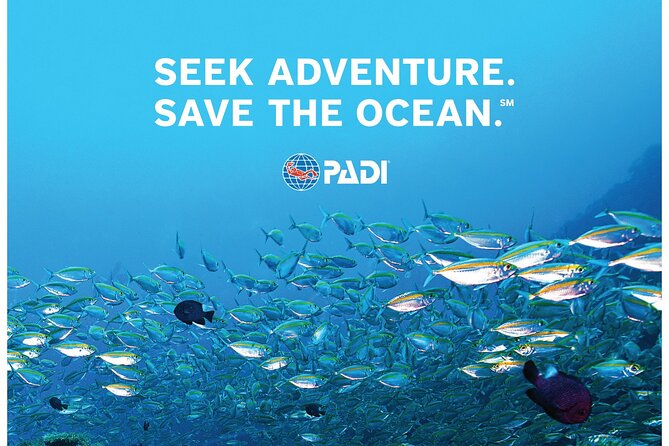 Aruba PADI Scuba Diving Program Non Certified Divers - Meeting Point: Ir. Luymesstraat 3, Savaneta (And Pickup Options)