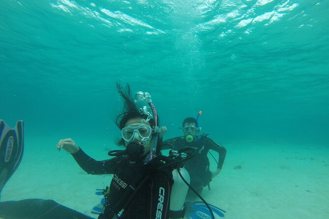 Aruba PADI Scuba Diving Program Non Certified Divers - Who This Aruba Program Fits Best (And Who Might Want a Different Plan)