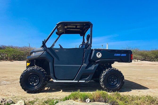 Aruba Rental Explore On Your Own - Price and value: what $246.16 covers and what to budget