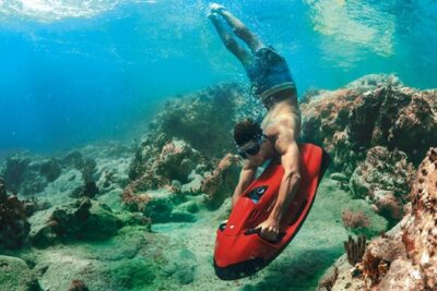 Aruba Seabob Scooter Reef Tour - Boca Catalina: fan fish, squid, and reef-life cruising