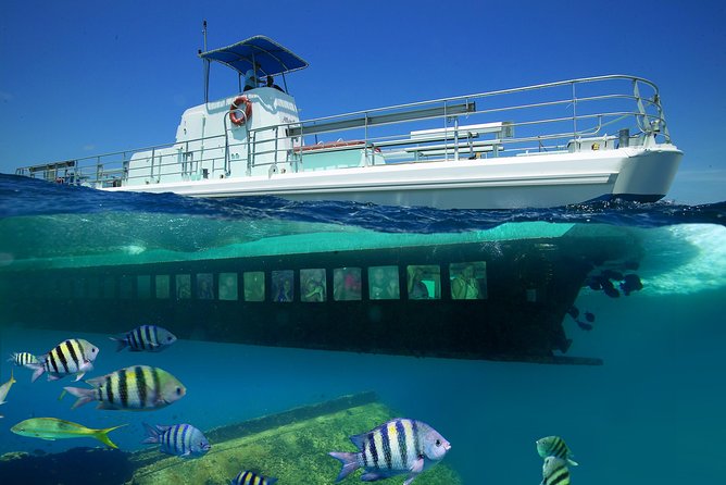 Aruba Semi-Submarine Cruise from Palm Beach - Key Points You Should Know Before You Go