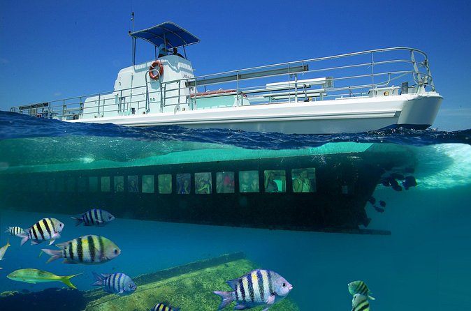 Aruba Semi-Submarine Cruise from Palm Beach - Entering the Seaworld Explorer Viewing Area: How the Dry Hull Works