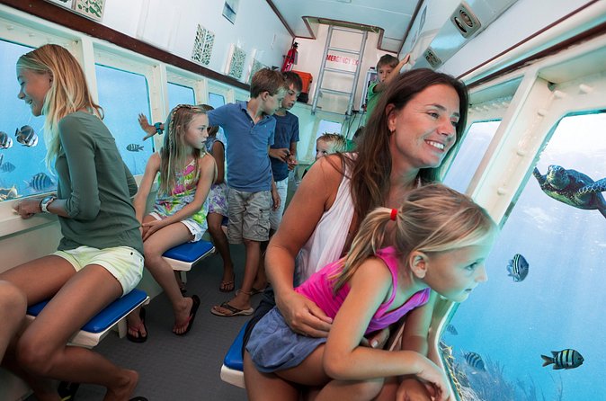 Aruba Semi-Submarine Cruise from Palm Beach - Stop Focus: Arashi Reef and the Arashi Beach Viewpoint