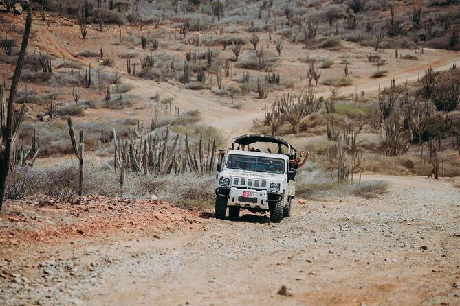 Aruba Signature Jeep Tour: Natural Pool and Baby Beach - What the Best Guides Do: Arnold, Dave, Kong, Leo, Lulu, and Shannon