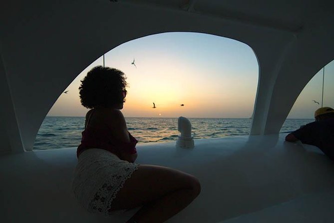 Aruba Sunset Sail Cruise Aboard The Dolphin Catamaran - Rope Swing and Waterslide: Tarzan-Style Seconds You’ll Remember