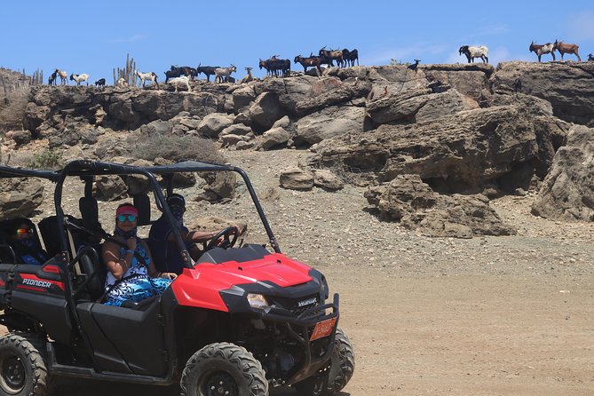 Aruba UTV, ATV Adventure to Secret Beach and Cave Pool - What to Bring: Sun, Sand, and Water-Ready Gear