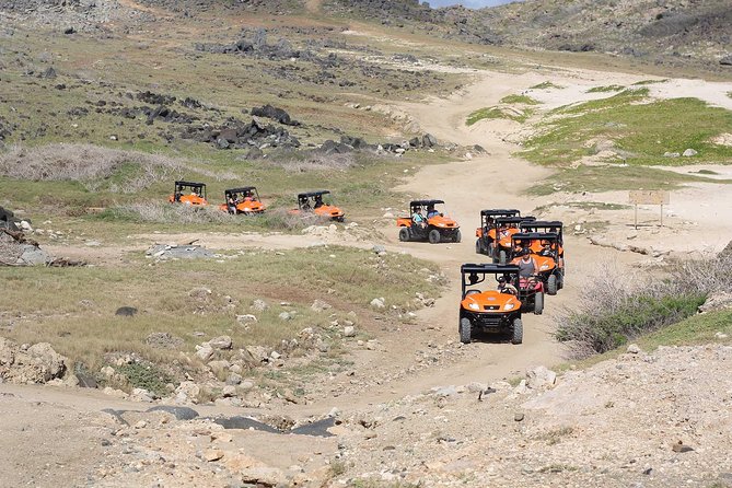 Aruba UTV Rentals For Off-Road Adventure - Doorstep delivery, 2- or 4-seaters, and getting your bearings