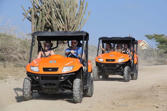 Aruba UTV Rentals For Off-Road Adventure - Top stops in one loop: Alto Vista, Natural Bridge, California Lighthouse, and donkey time