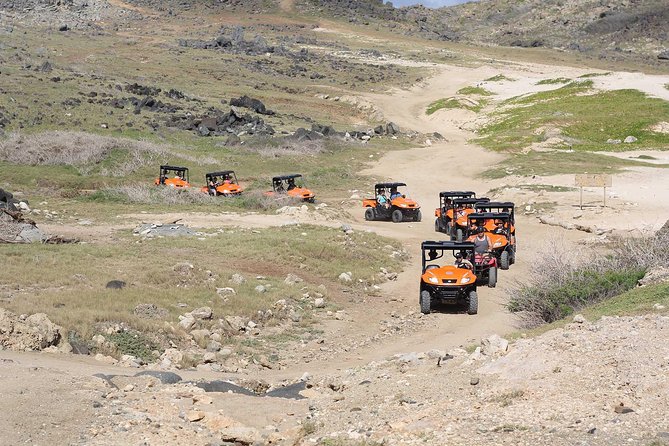 Aruba UTV Tour with Natural Cave Pool and Cliff Jumping - Route highlights: from Philip’s to black sand and bridges