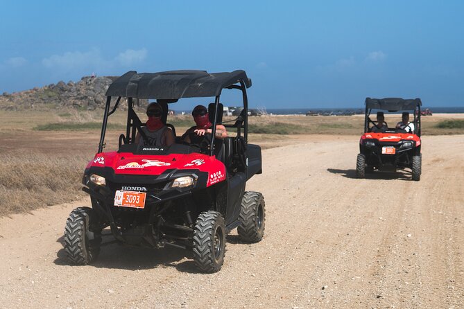 Aruban Roots 3 Hours Adventure by ATV & UTV with Kini Kini - Key highlights to know before you go