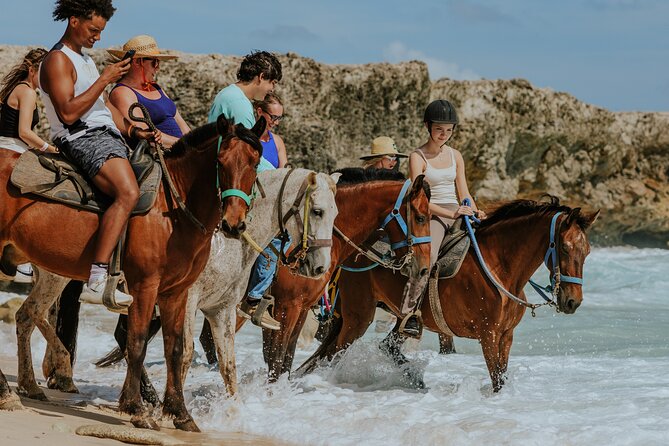 Aruba's Northern Coast Horseback Adventure - Key things I’d circle before you go
