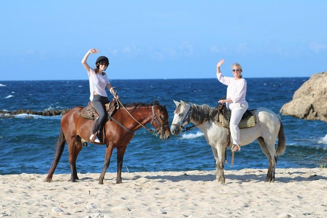 Aruba's Northern Coast Horseback Adventure - The guides and horses: safety, calm handling, and smooth trail work