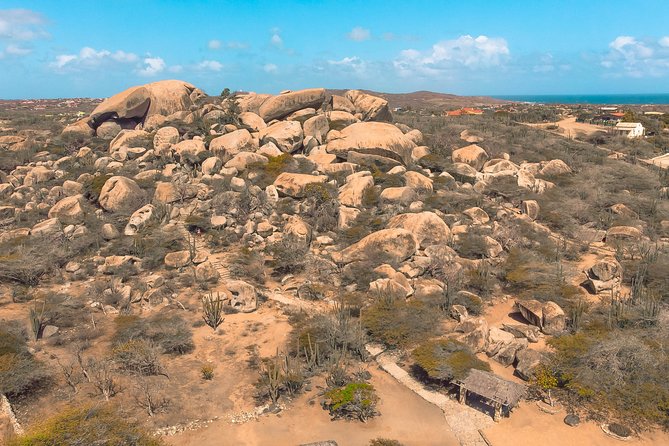 Customized Aruba Island Private Tour for All Ages - What Makes This Private Aruba Tour Work So Well