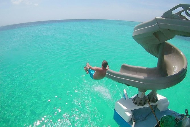 Dolphin Catamaran Snorkel and Sail with Open Bar - Key takeaways before you go