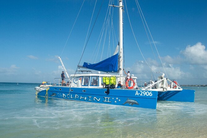 Dolphin Catamaran Snorkel and Sail with Open Bar - Stop 2: Boca Catalina Bay coral and the slide-rope combo