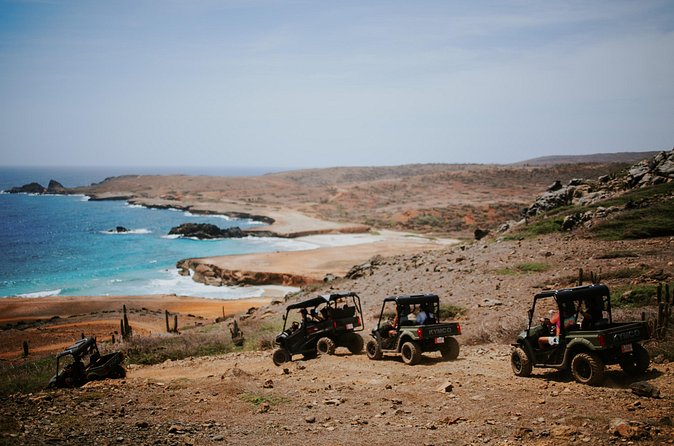 Exclusive Aruba UTV Tours - Off-road reality check: dust, speed, and how to feel confident
