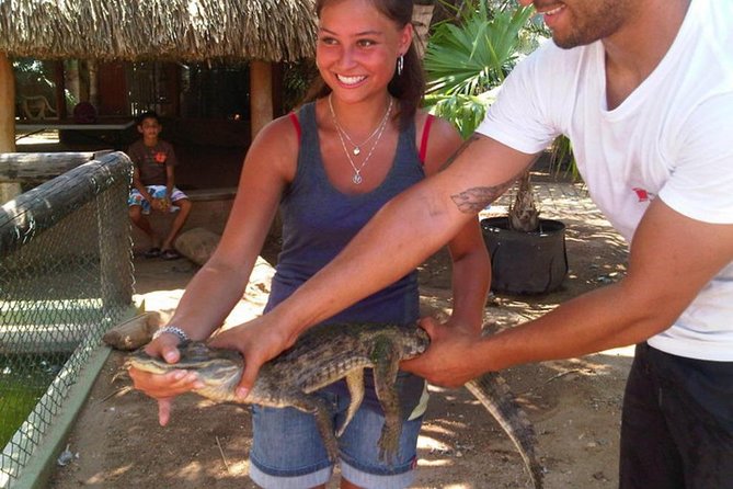 Half-Day Aruba Animal Sanctuary Guided Tour - Price and value: why $57 can make sense here