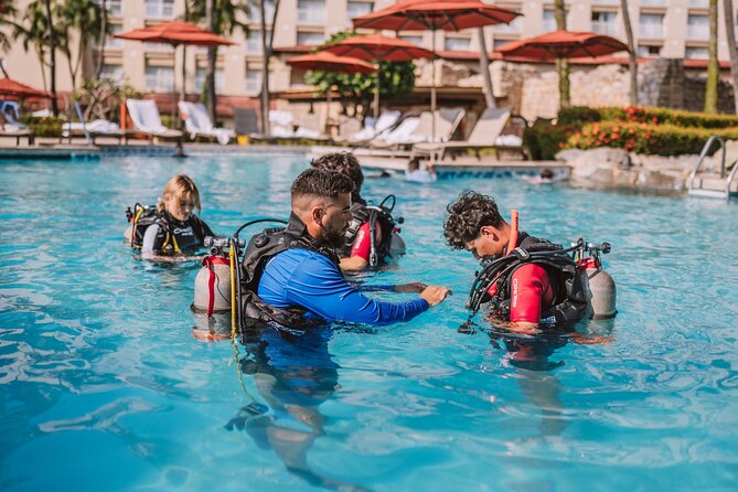 Half-Day Aruba Intro Diving Course for Beginners - Key things to know before you go