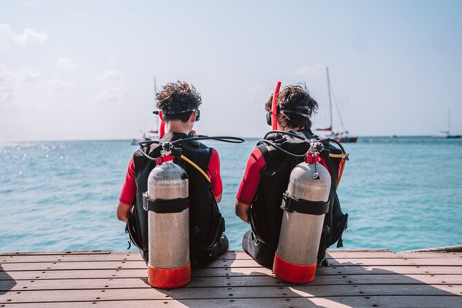 Half-Day Aruba Intro Diving Course for Beginners - Timing, group size, and planning your Aruba day