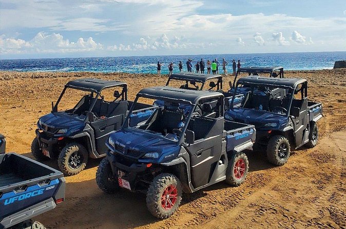 Half-Day Aruba UTV Adventure Tour - Price and Logistics: Does $220 per Group Feel Worth It?