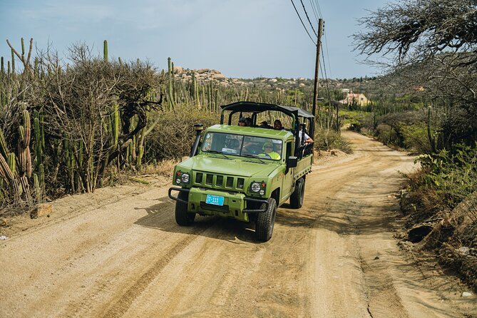 Half-Day Jeep Tour in Aruba - Rugged Aruba in Four Hours: the Jeep ride and the payoff