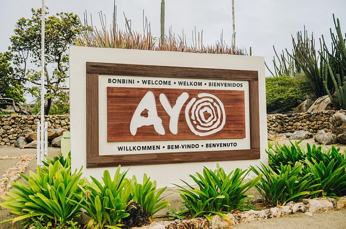 Half-Day Jeep Tour in Aruba - Ayo Rock Formations: wall paintings, huge rock builders, and real exploring