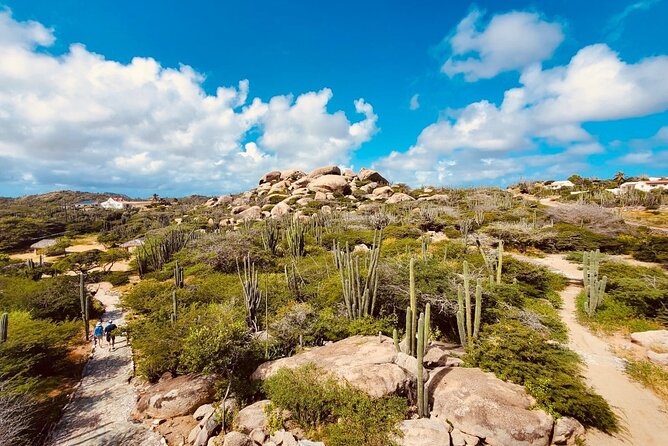 Half-Day Jeep Tour in Aruba - Price and logistics: what $80 gets you (and what it doesn’t)