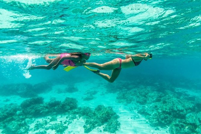 Half-Day Snorkel Sail Tour with Caribbean Lunch - How the half-day 4-hour format works from Piet’s Pier Bar
