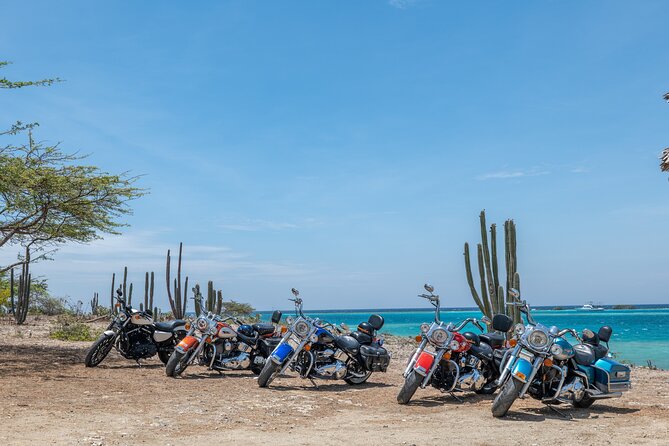 Harley-Davidson Guided Island Tours - Who should book this Harley island tour (and who may not love it)