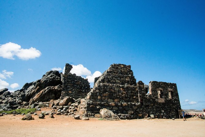Highlights of Aruba Island Tour - Price and value: what $60 really covers