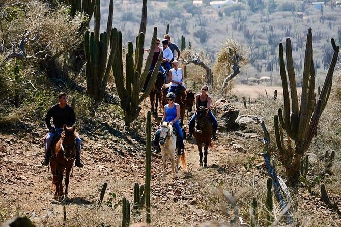 Horseback Ride Tour to Natural Pool in Arikok National Park - Getting to Rancho Loco: The Smooth Start That Matters