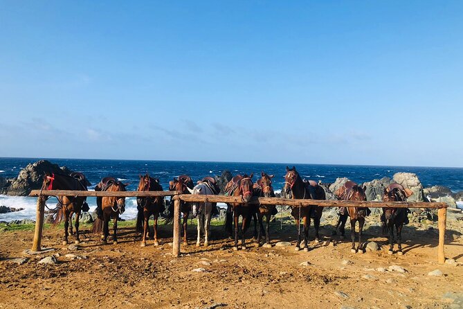 Horseback Ride Tour to Natural Pool in Arikok National Park - Conchi Natural Pool: The Cool-Off That Ends the Adventure