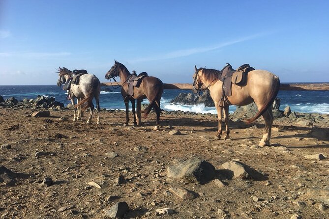 Horseback Ride Tour to Natural Pool in Arikok National Park - What’s Included (and What You Should Add Yourself)