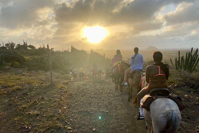 Horseback Ride Tour to Natural Pool in Arikok National Park - Who This Tour Fits Best
