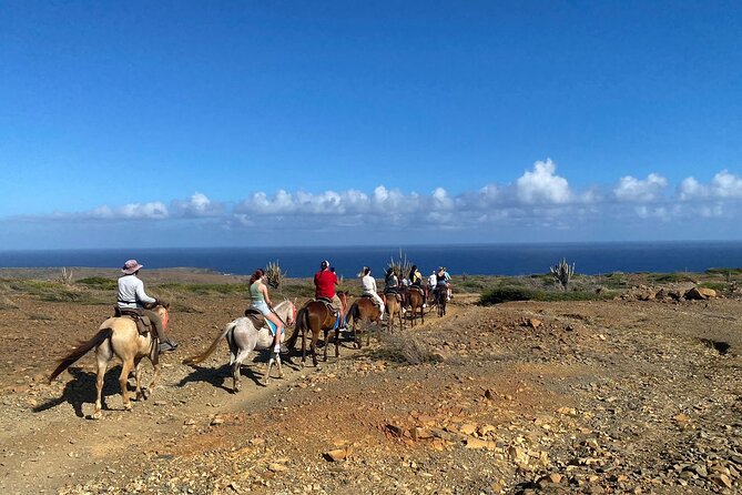 Horseback Ride Tour to Natural Pool in Arikok National Park - Practical Tips That Come Straight From Real Ride Days