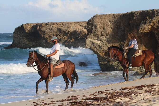 Horseback Riding and Natural Pool Adventure in Aruba - Key things that make this tour worth your time